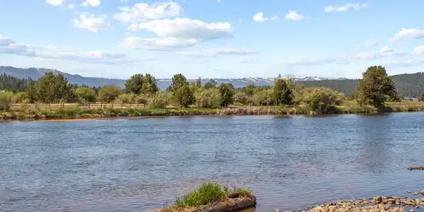 Image 3: Looking Up River