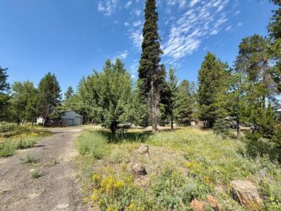 12989 Patty Drive
