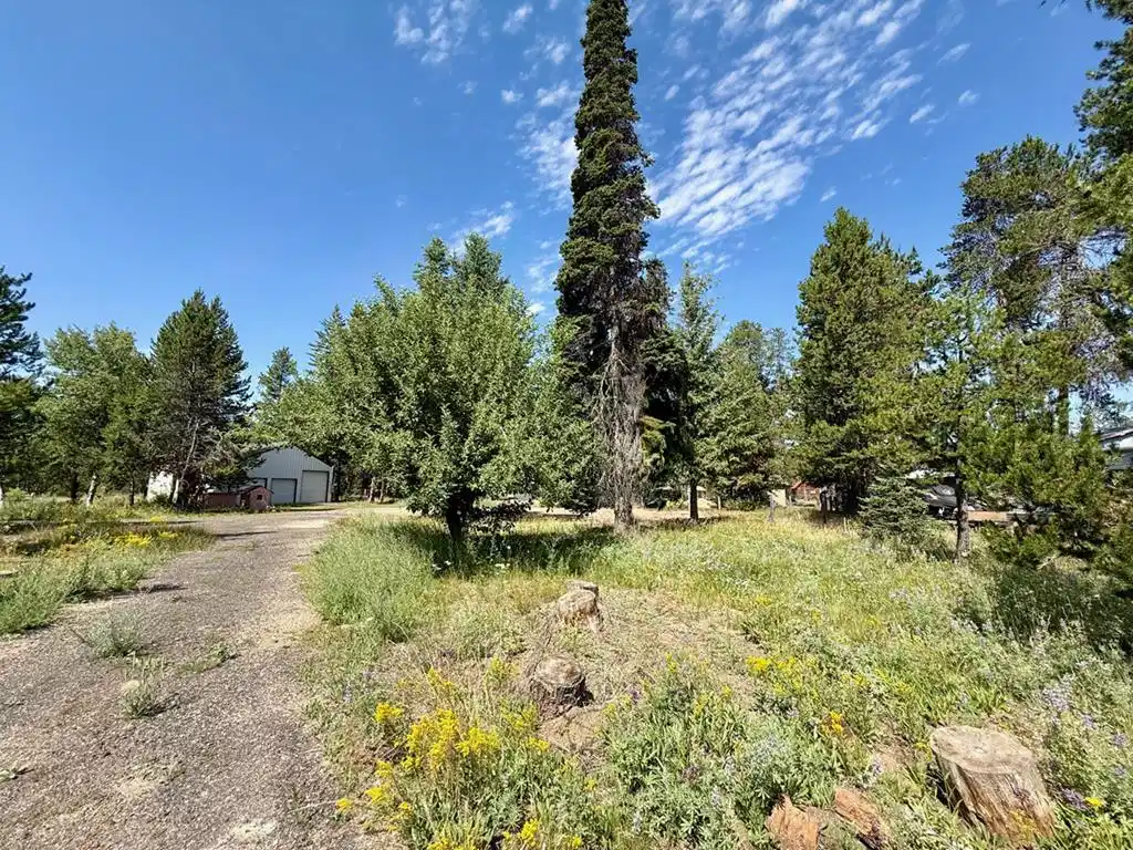 Image 1: Main View