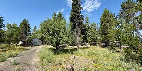 12989 Patty Drive