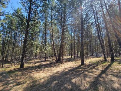 110 E Prospectors Drive