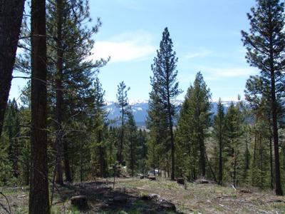 25 San Ignacio Way