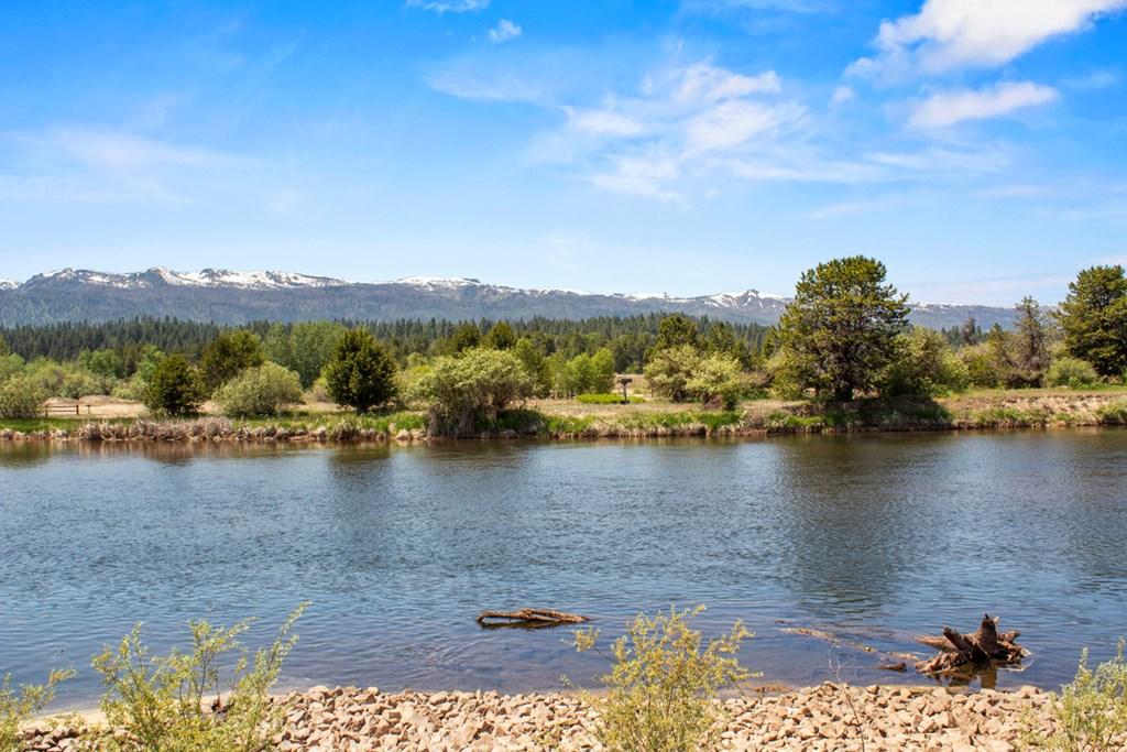 Image 3: Payette River Views Overlooking The Strand
