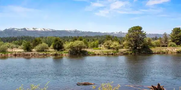 Image 3: Payette River Views Overlooking The Strand
