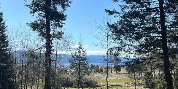 1792 Canary Trail