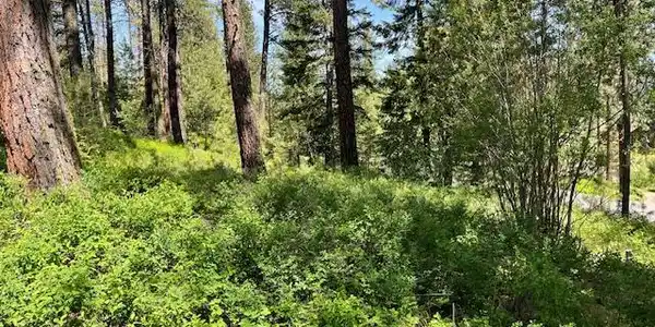 Lot 23 Hot Springs Road