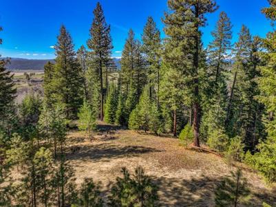 Lot 9 Canyon Creek Way