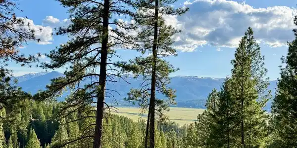 18 Tito Trail
