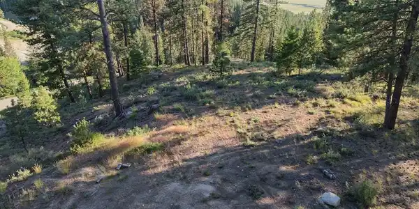 Image 3: Possible Building Site