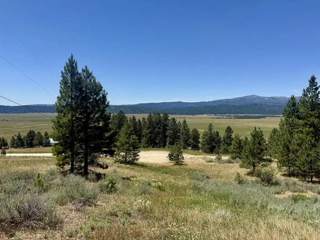 Image 1: Main View