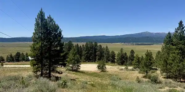 10108 Howling Wolf Court