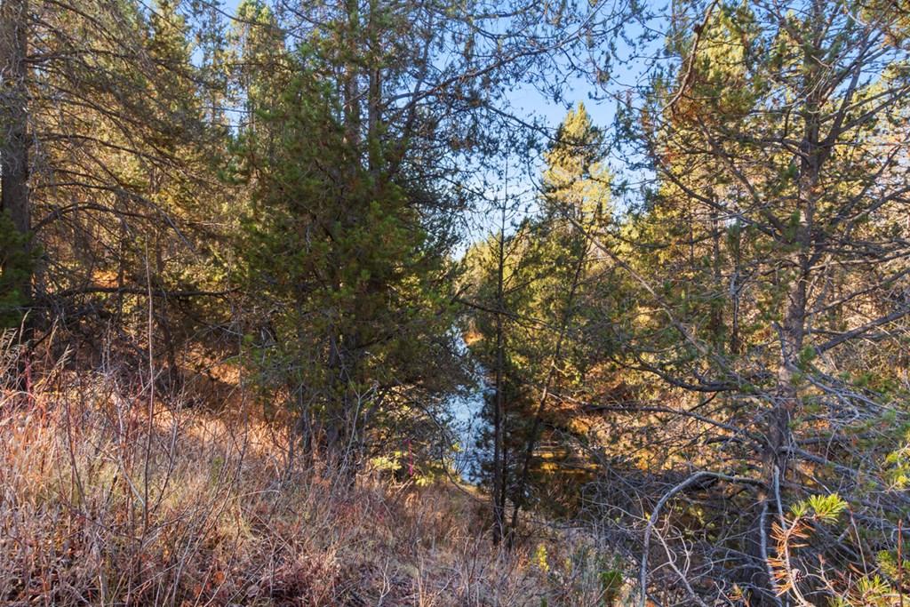Image 2: Big Creek