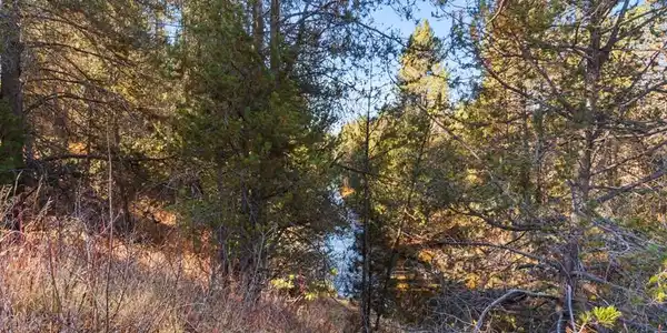 Image 2: Big Creek