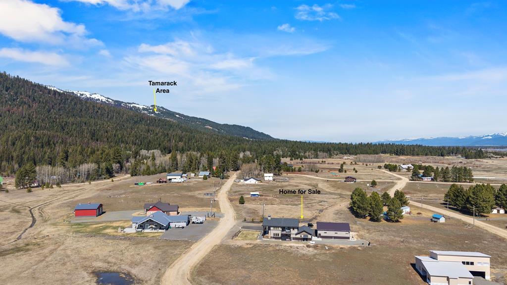 Image 4: Close to Tamarack