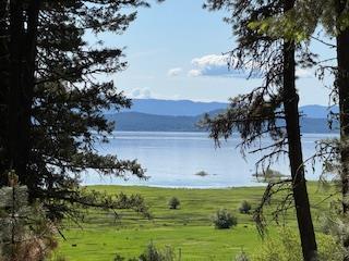 1633 Bear Trail