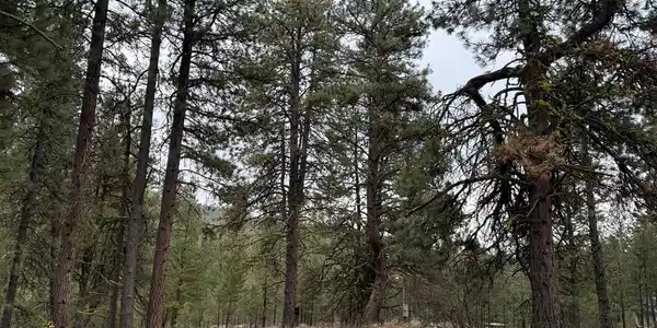 Lot 16 Sunset Loop