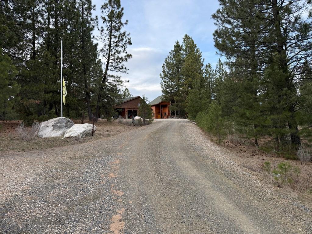Image 2: Driveway