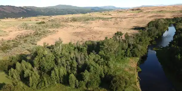 55 Acres Deer Loop Road