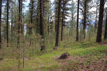 TBD Hot Springs Road
