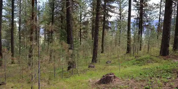 TBD Hot Springs Road