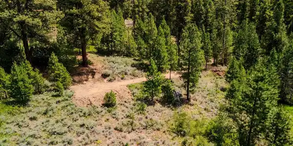 Image 4: Potential build site.
