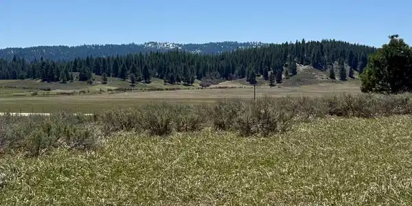 Image 3: Build Site Sits Above Roads for Privacy