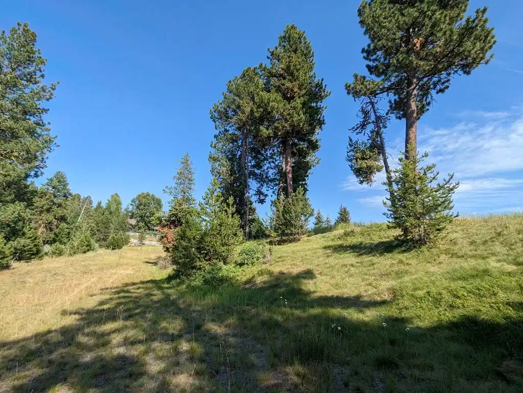 Image 1: Main View