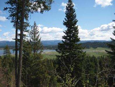 TBD Willow Creek Trail