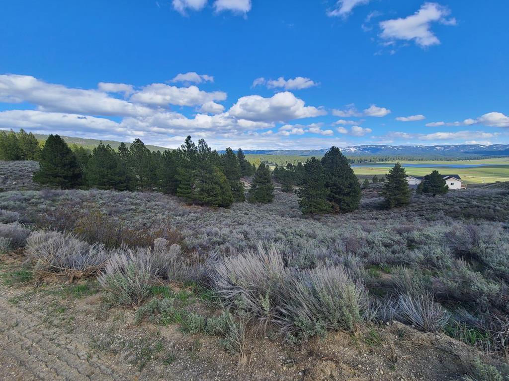 Image 3: Mountain, Meadow & Davis Pond View