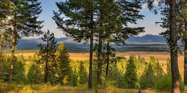 5609 Appaloosa Trail