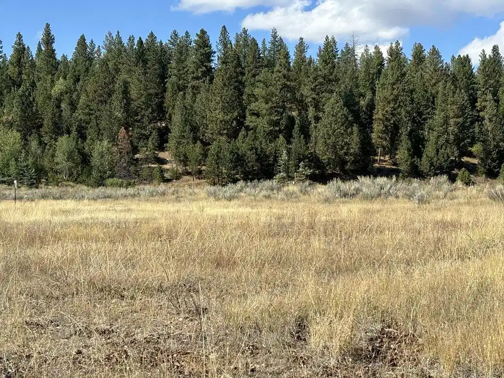 Image 1: Main View