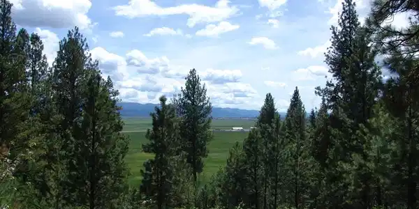 28 Rehn Loop