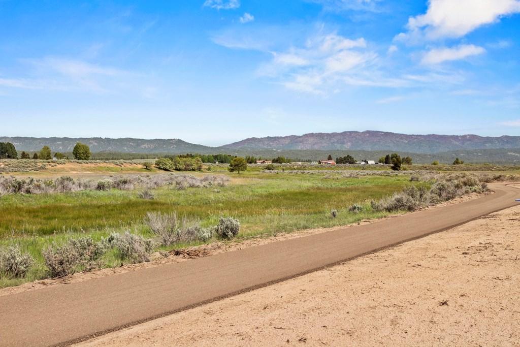 Image 2: Pathway Leading to Payette River