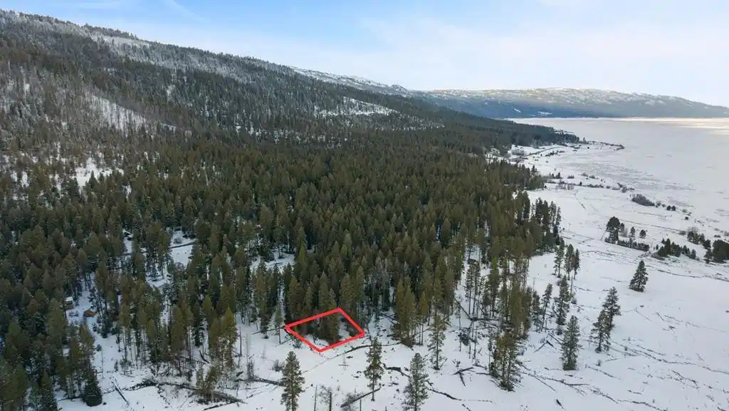 Image 1: Main View