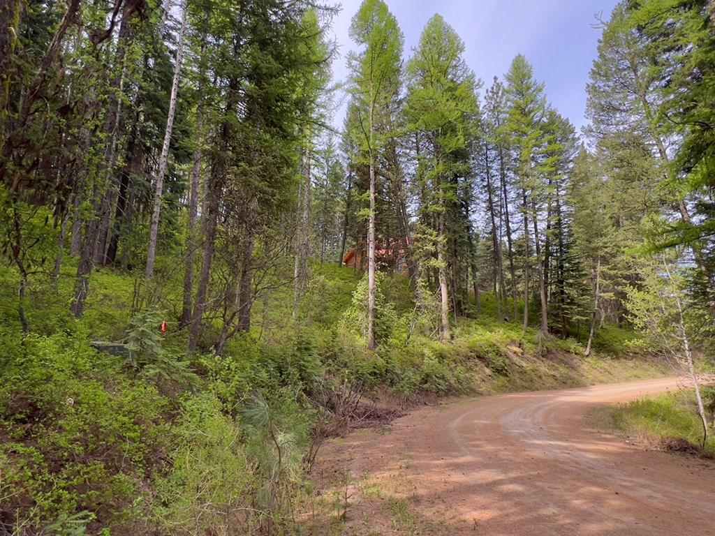 Image 3: Beautiful Tamaracks on Property