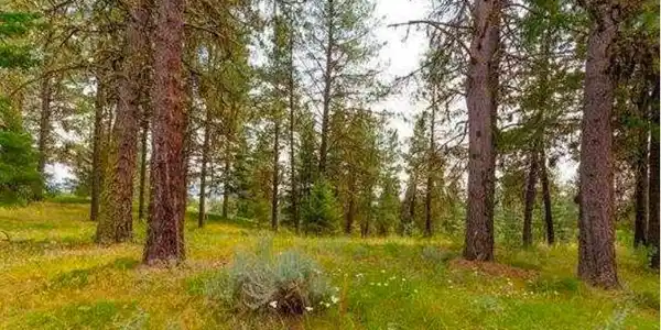 Lot 15 Northwood Court