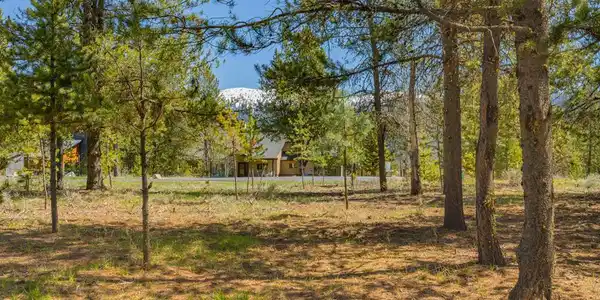 435 Wilhelm Creek Court