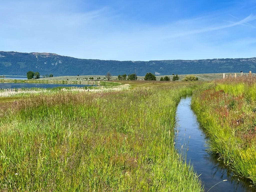 Image 3: Views of Pond on Neighboring Lot