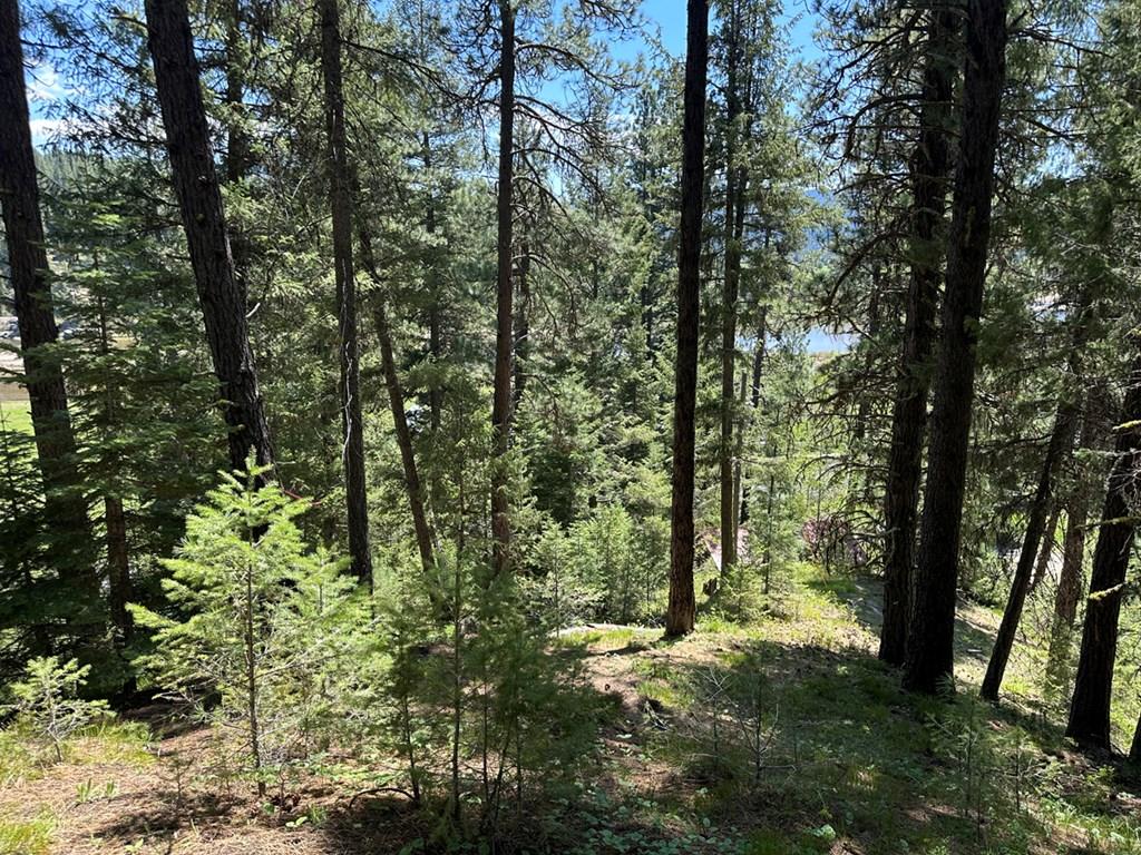 Image 4: Nicely Wooded, With River & Mountain Views
