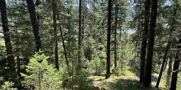 Image 4: Nicely Wooded, With River & Mountain Views
