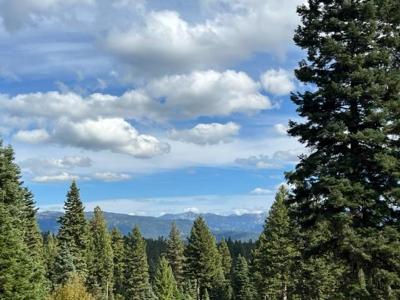 4649 Williams Creek Loop