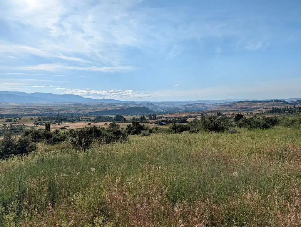 Image 1: Main View