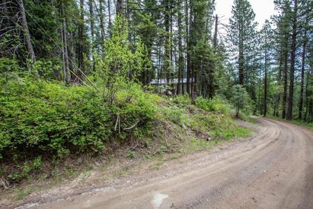 40 Arling Trail