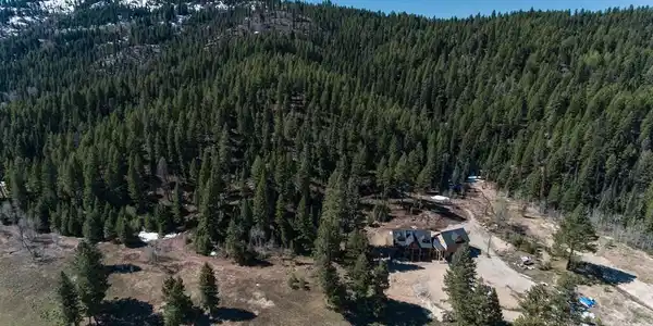 Image 3: Beautiful 58+ acreage