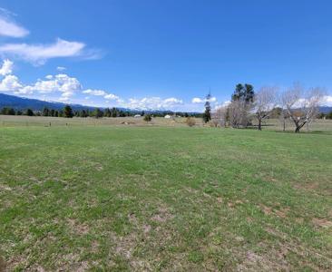 TBD Goslin Loop