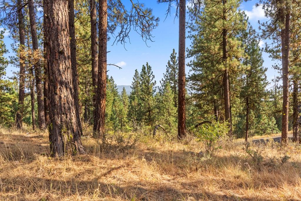 Image 2: Mountains All Around