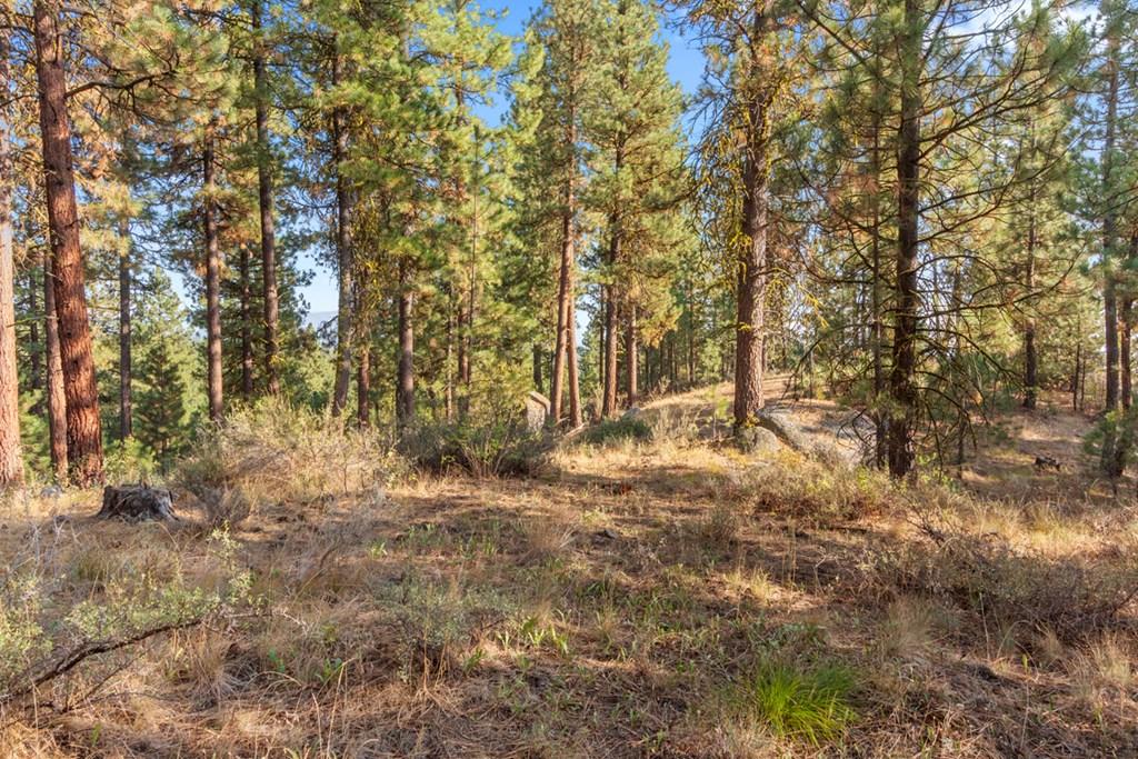 Image 3: Scattered Big Boulders