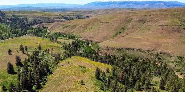 255 AC Fall Creek Road