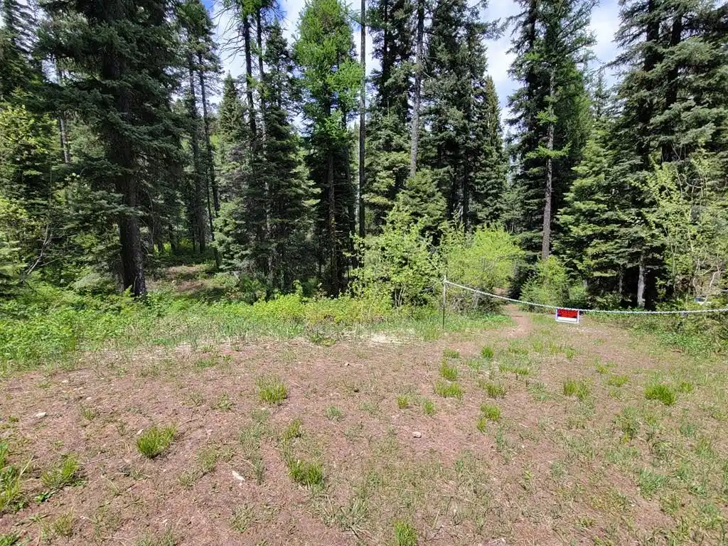 Image 1: Main View