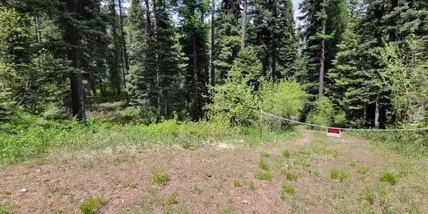 32 Arling Trail